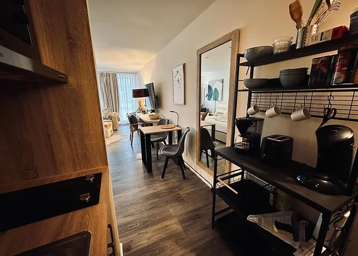 公寓 Schlierseeperle 施利尔塞